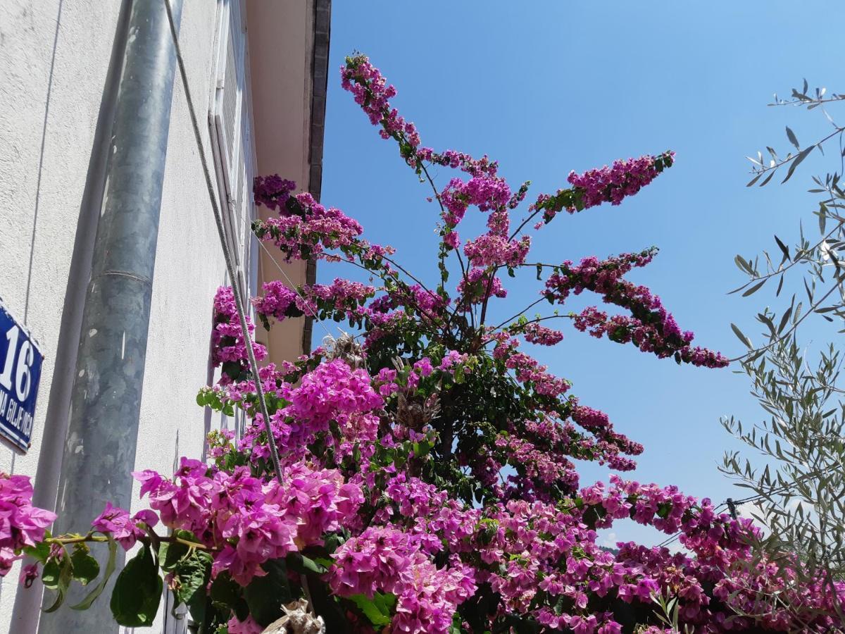 Apartman Vede Bacina Dış mekan fotoğraf